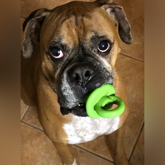 OVER 5LBS ADDITIONAL CHARGE. - Picture 3 of 9